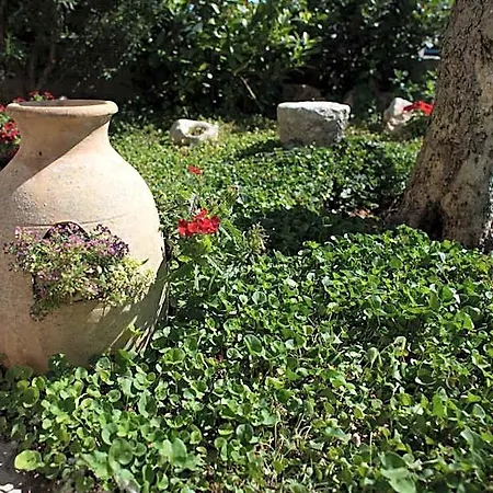 Grandi Trulli