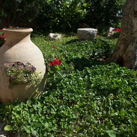 Grandi Trulli אלברובלו