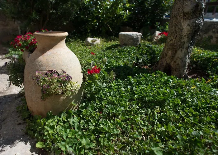 格兰迪特鲁利住宿加早餐旅馆 阿尔贝罗贝洛